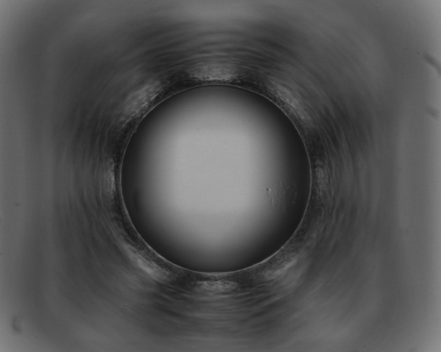 X0000093370541200710111438