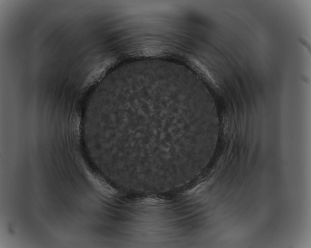 X0000093370542200710111438