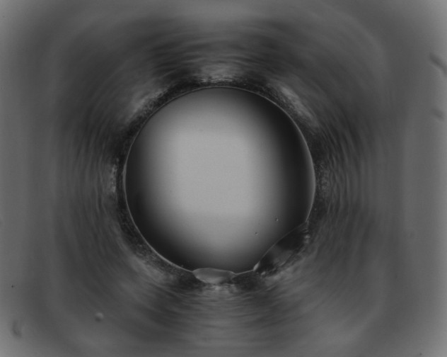 X0000093370543200710111438