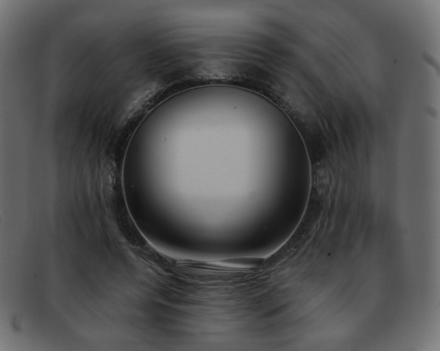 X0000093370544200710111438