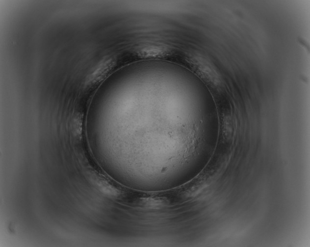 X0000093370545200710111438
