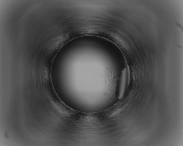 X0000093370546200710111438