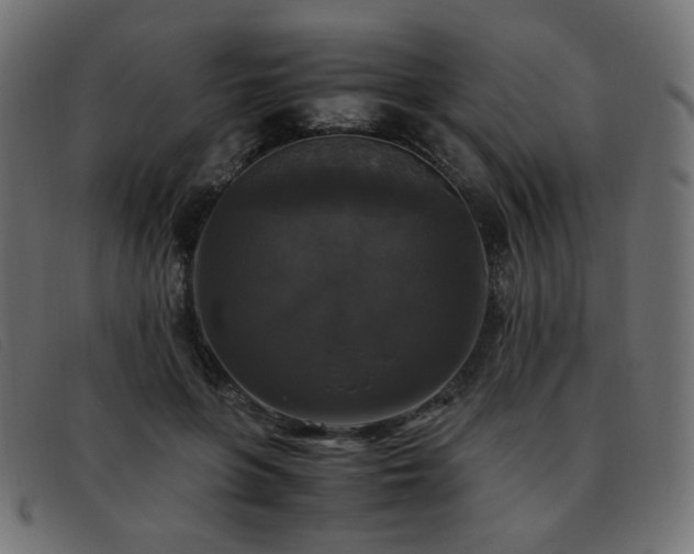 X0000093370551200710111438