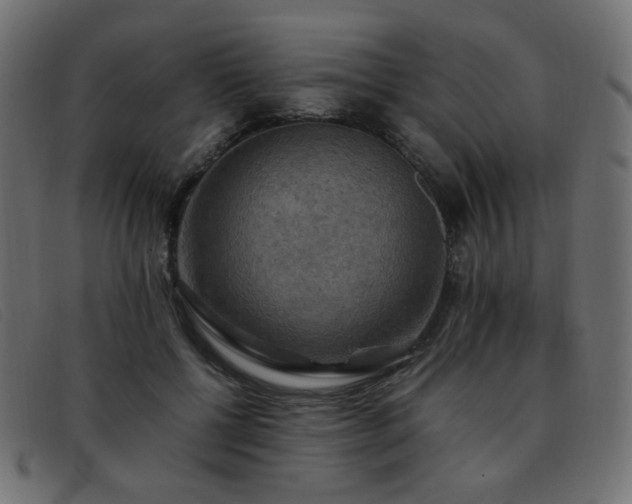 X0000093370552200710111438