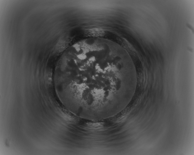 X0000093370553200710111438