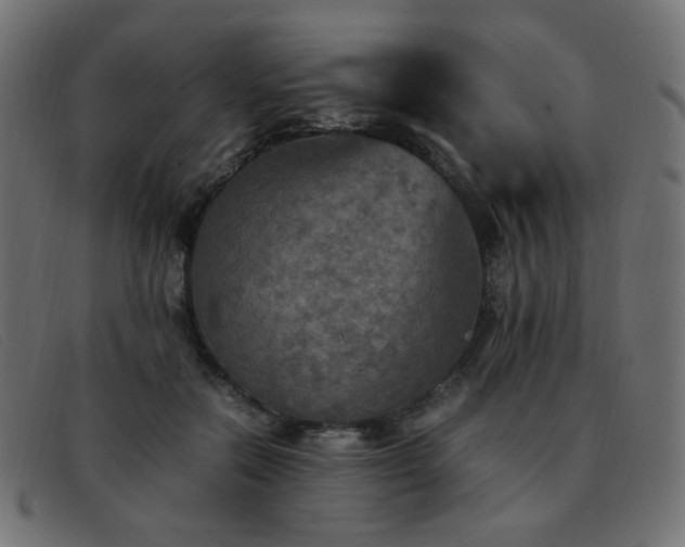 X0000093370554200710111438