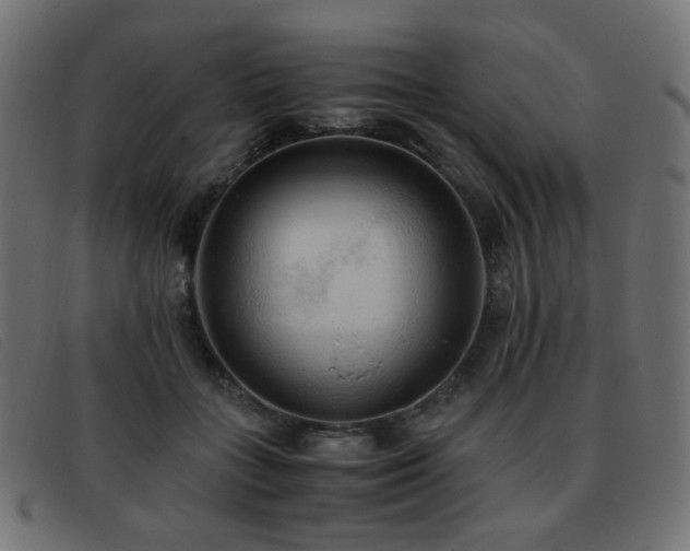 X0000093370555200710111438