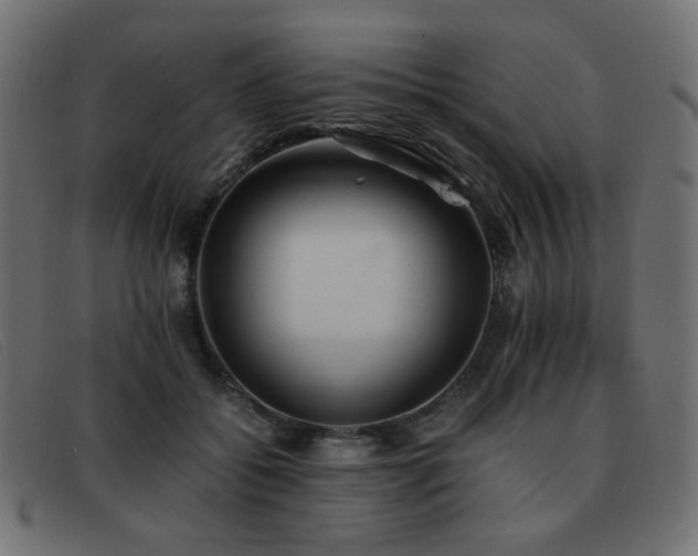 X0000093370556200710111438