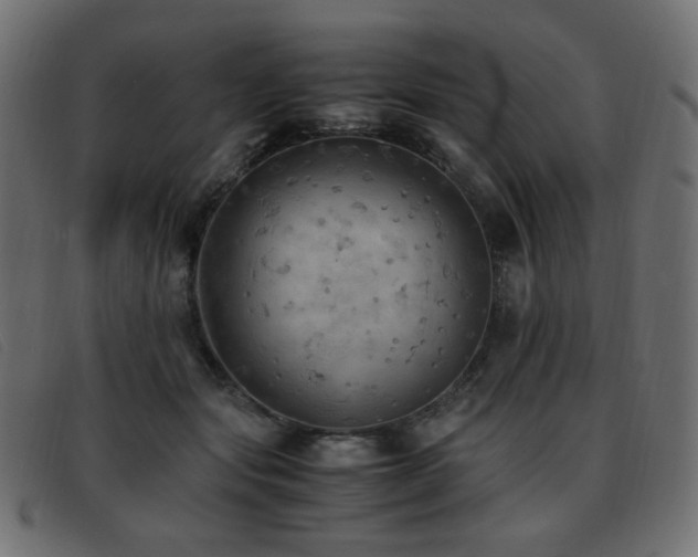 X0000093370557200710111438