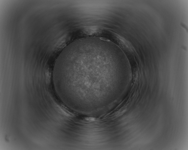 X0000093370558200710111438