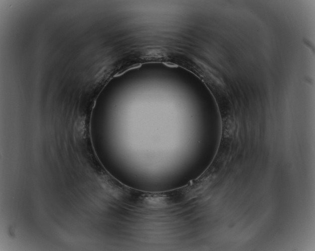 X0000093370560200710111438