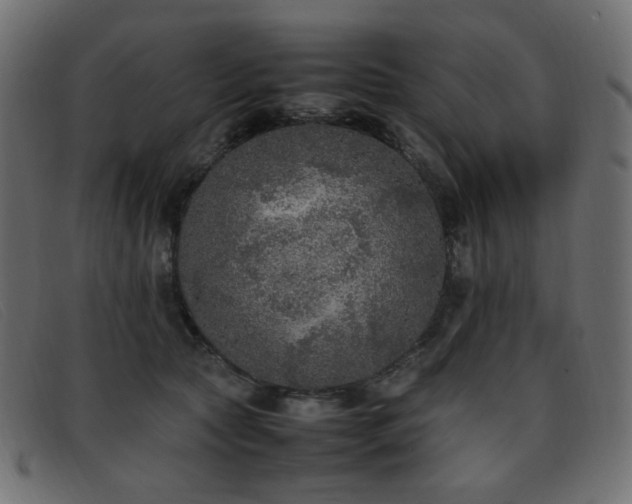 X0000093370561200710111438