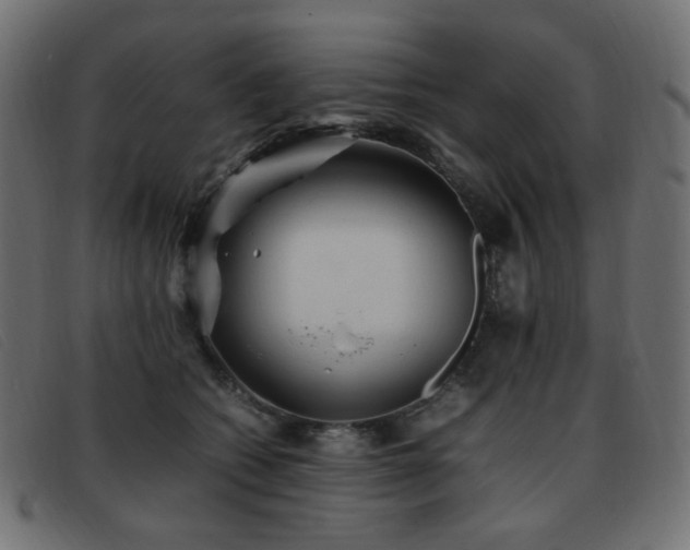 X0000093370562200710111438