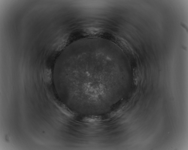 X0000093370563200710111438