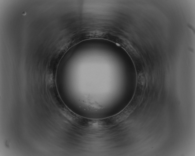 X0000093370564200710111438