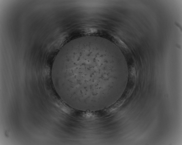 X0000093370565200710111438