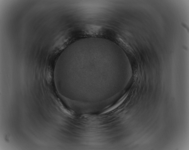 X0000093370566200710111438