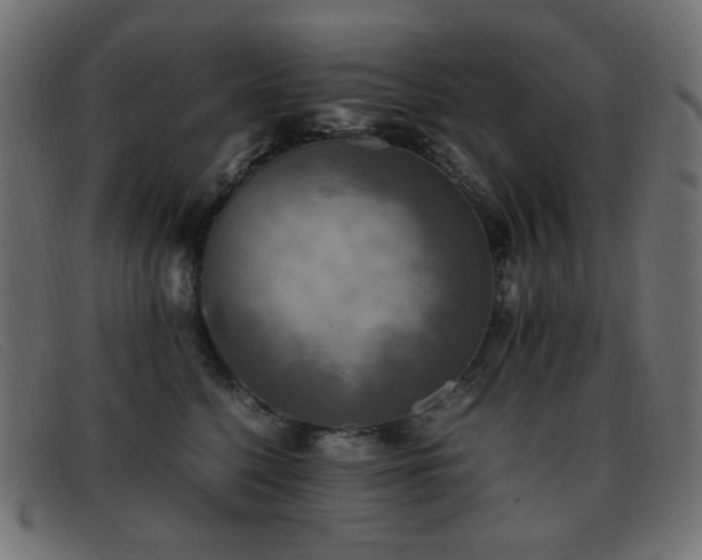 X0000093370568200710111438