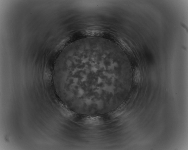 X0000093370569200710111438