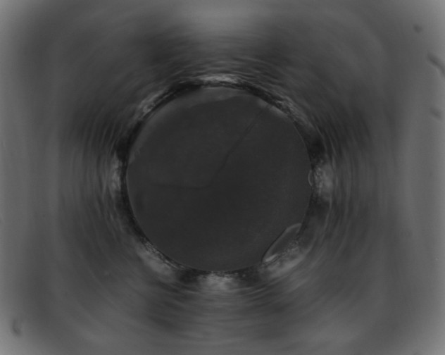 X0000093370570200710111438