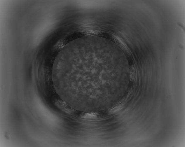X0000093370573200710111439