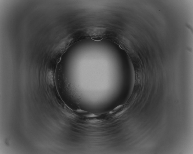 X0000093370575200710111439