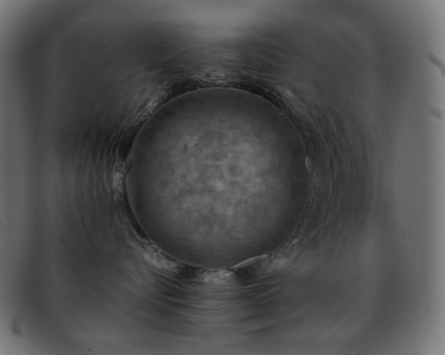 X0000093370576200710111439