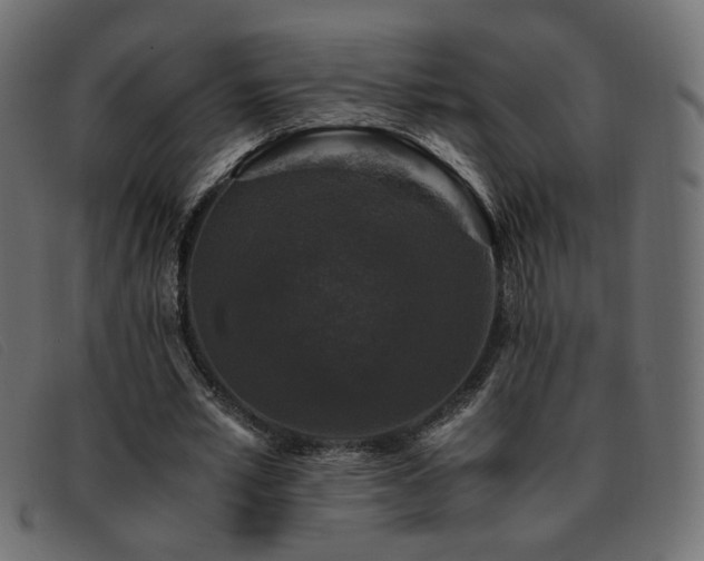 X0000093370581200710111438