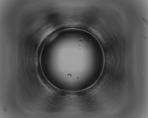 X0000093370582200710111438