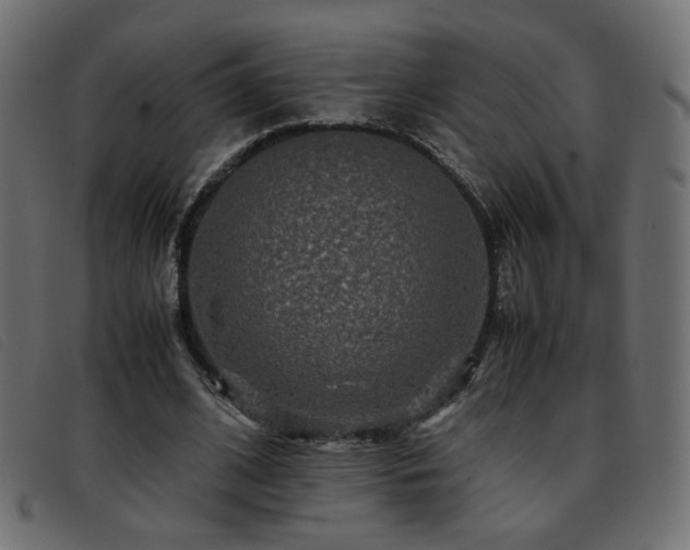 X0000093370584200710111438