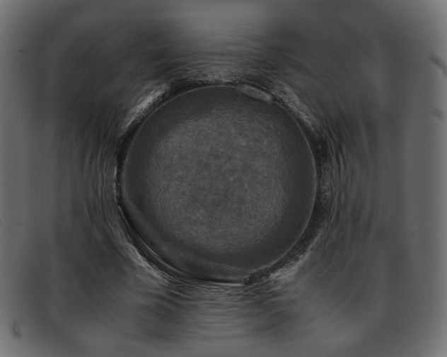 X0000093370585200710111438
