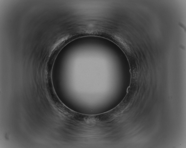 X0000093370587200710111438