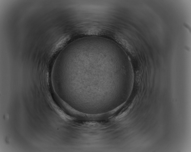 X0000093370589200710111438
