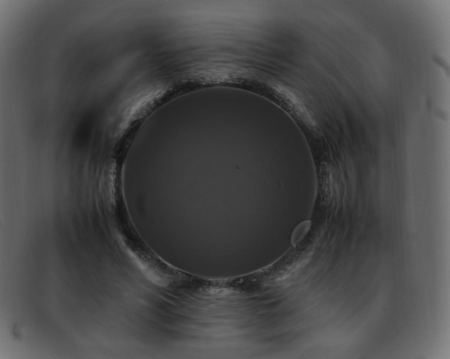 X0000093370590200710111438