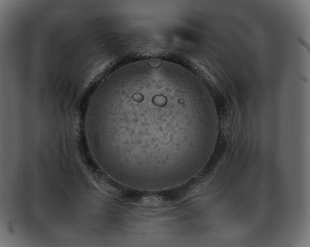 X0000093370591200710111438