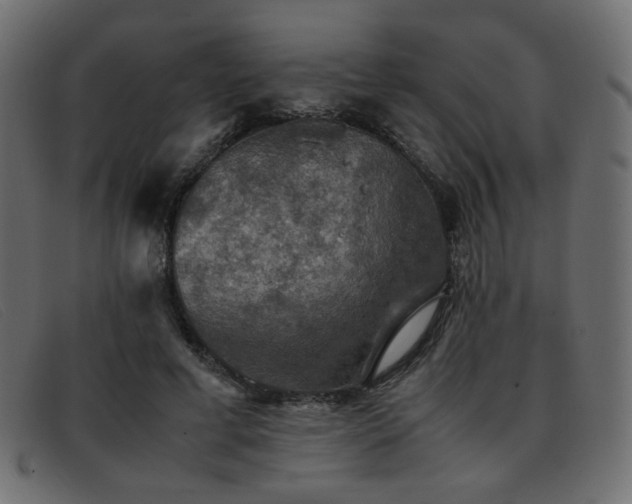 X0000093370593200710111438