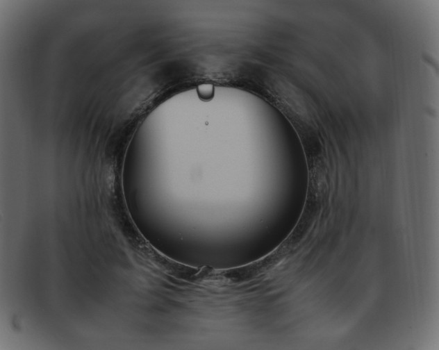 X0000093370595200710111438