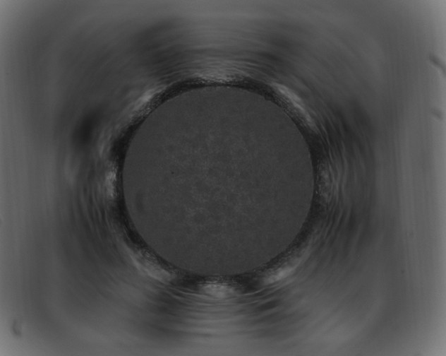 X0000093370596200710111438