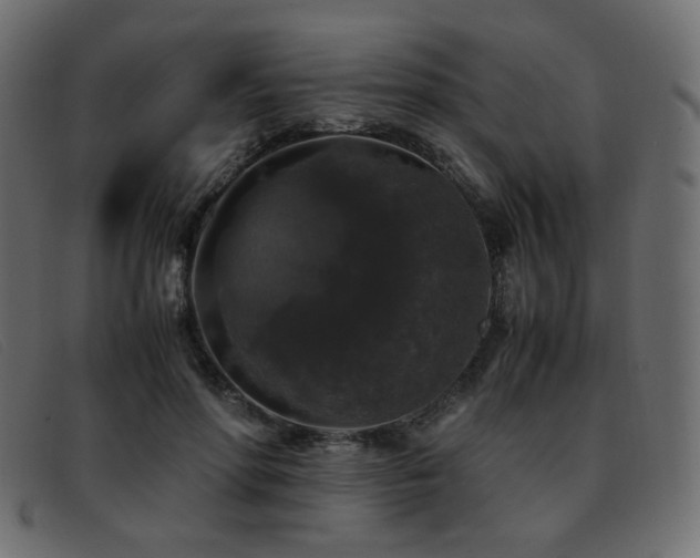 X0000093370598200710111438