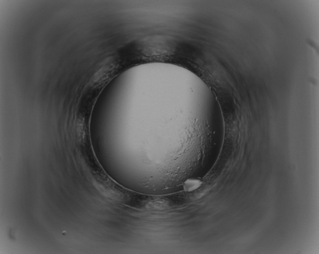 X0000093370599200710111438