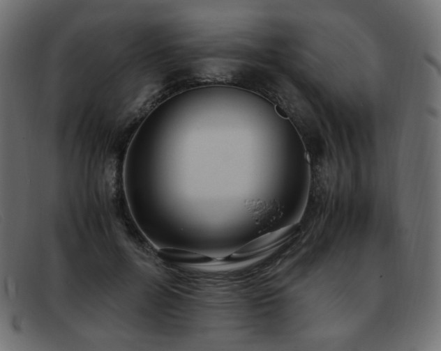 X0000093370600200710111438