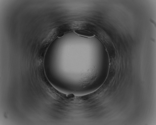 X0000093370601200710111438