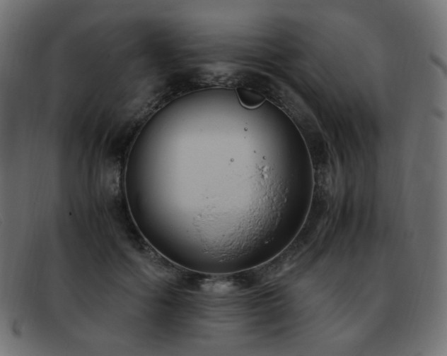 X0000093370602200710111438