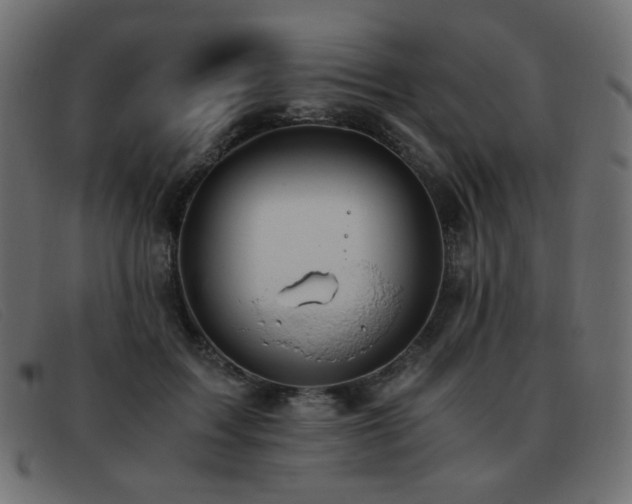 X0000093370603200710111438