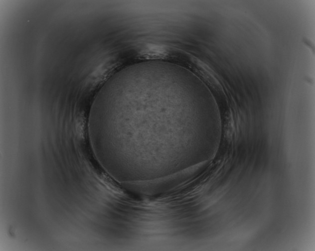 X0000093370604200710111438