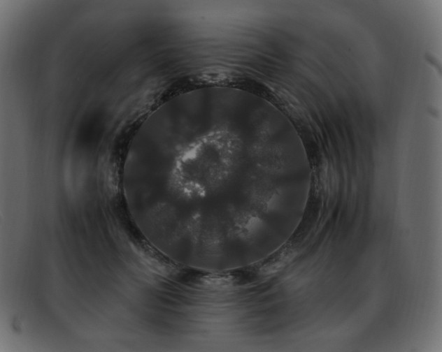 X0000093370606200710111438