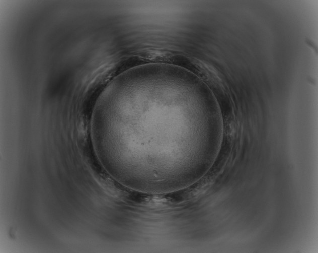 X0000093370607200710111438