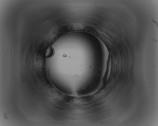 X0000093370608200710111438
