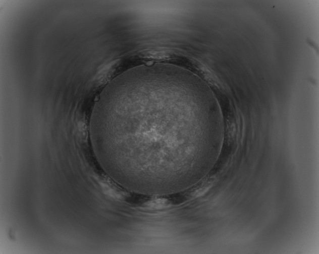 X0000093370609200710111438