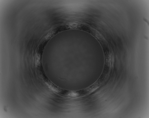 X0000093370610200710111438